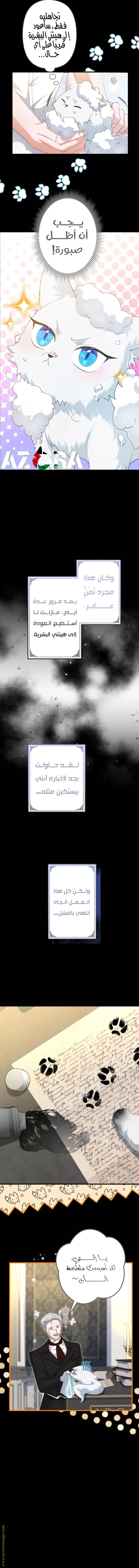 الصفحة 5