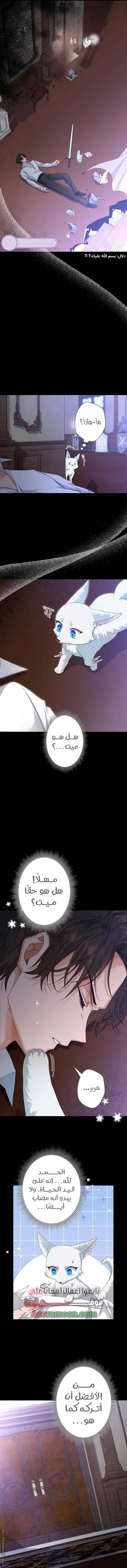 الصفحة 7