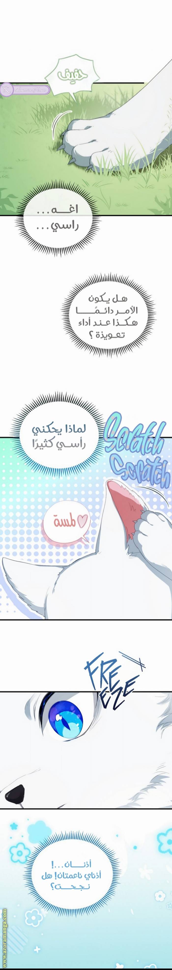 الصفحة 11