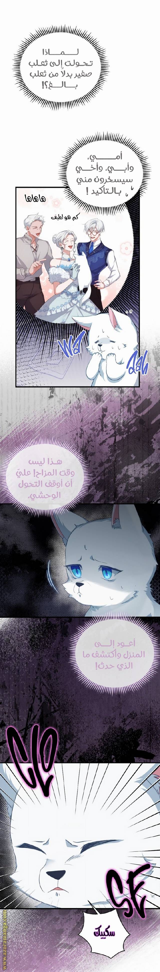الصفحة 15