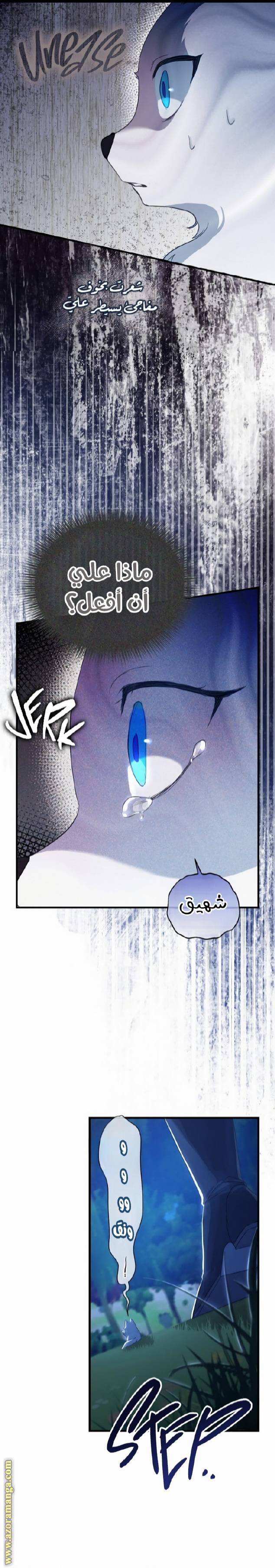 الصفحة 18