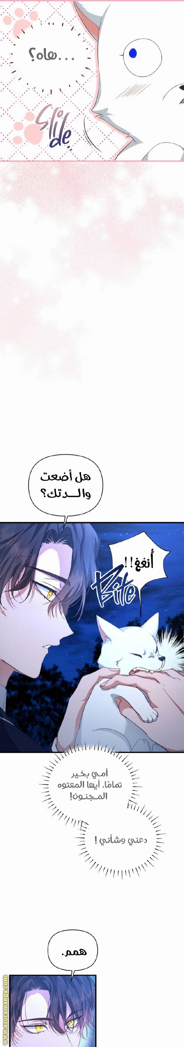 الصفحة 21