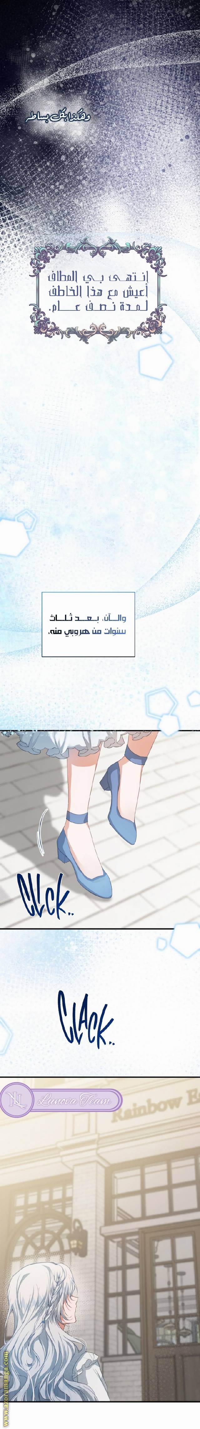 الصفحة 24