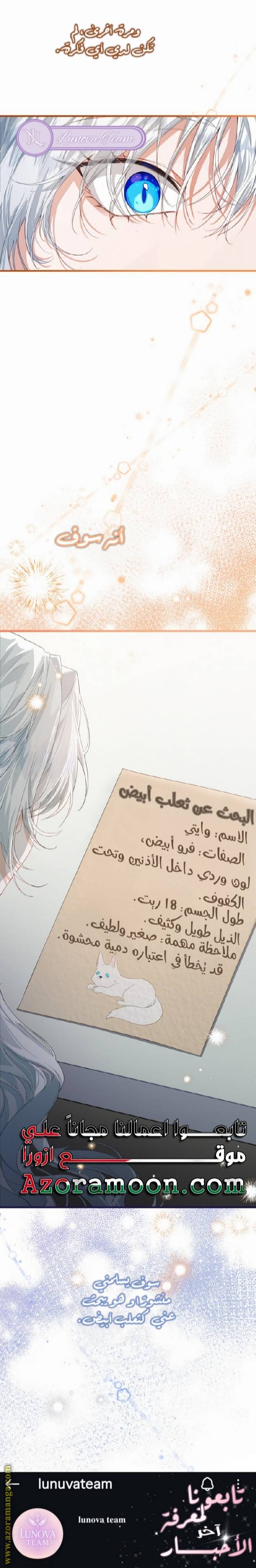 الصفحة 29