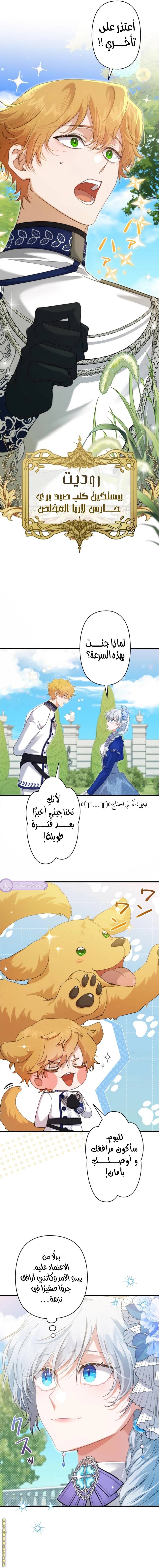 الصفحة 10