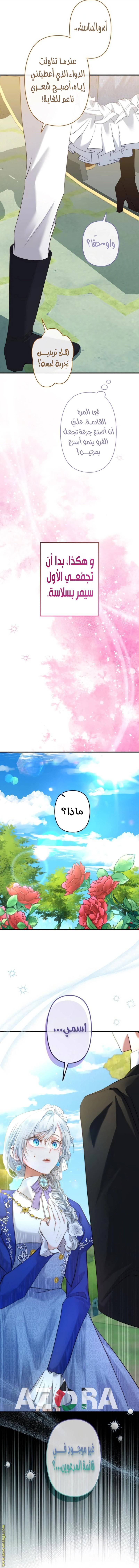 الصفحة 11
