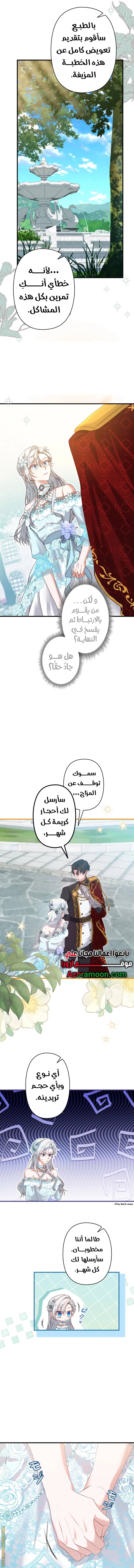 الصفحة 5