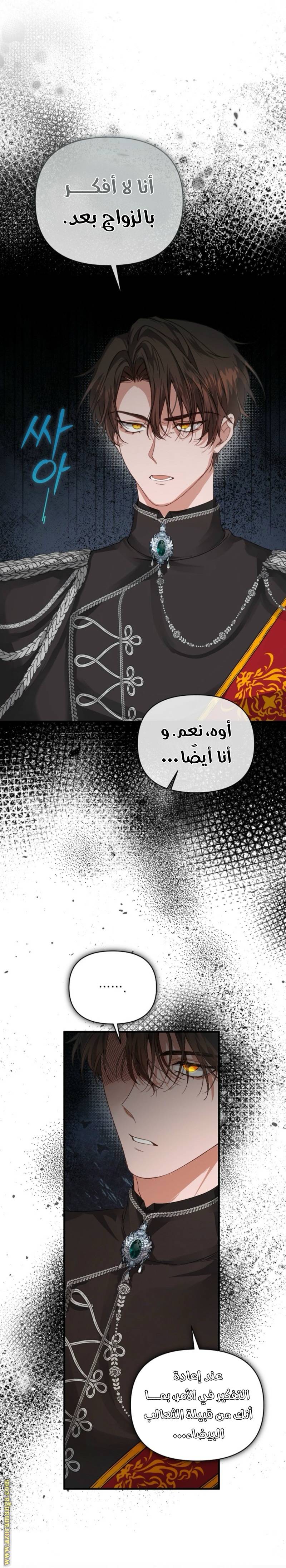 الصفحة 16