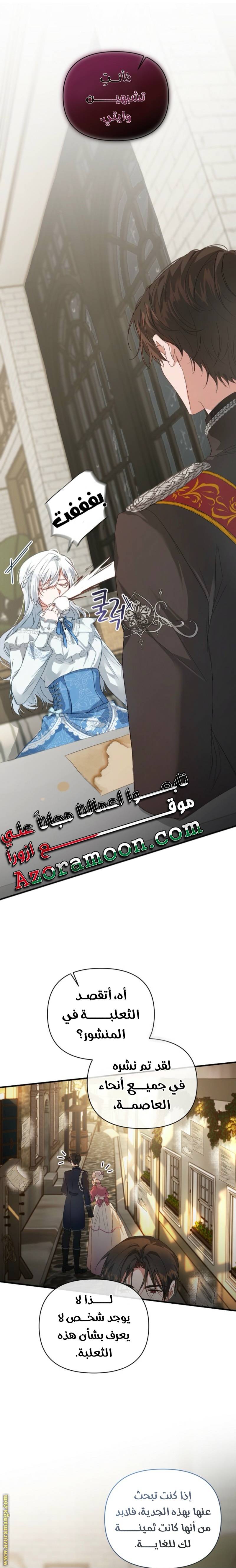 الصفحة 17