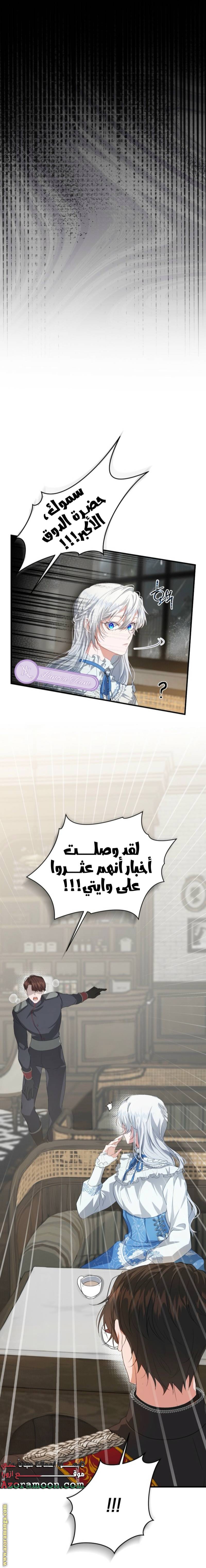 الصفحة 19