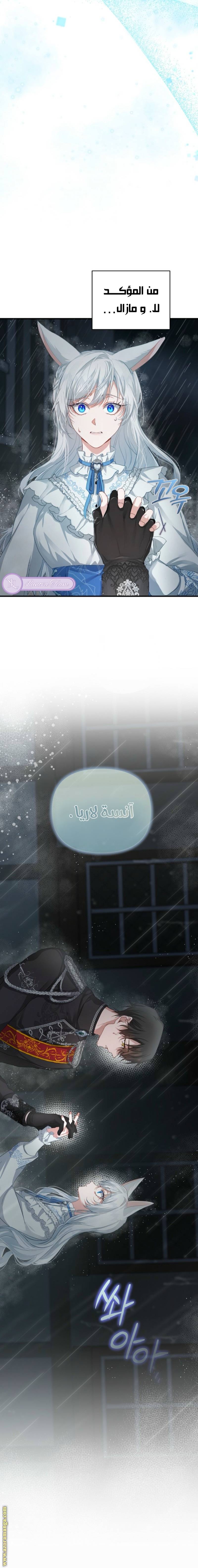 الصفحة 35