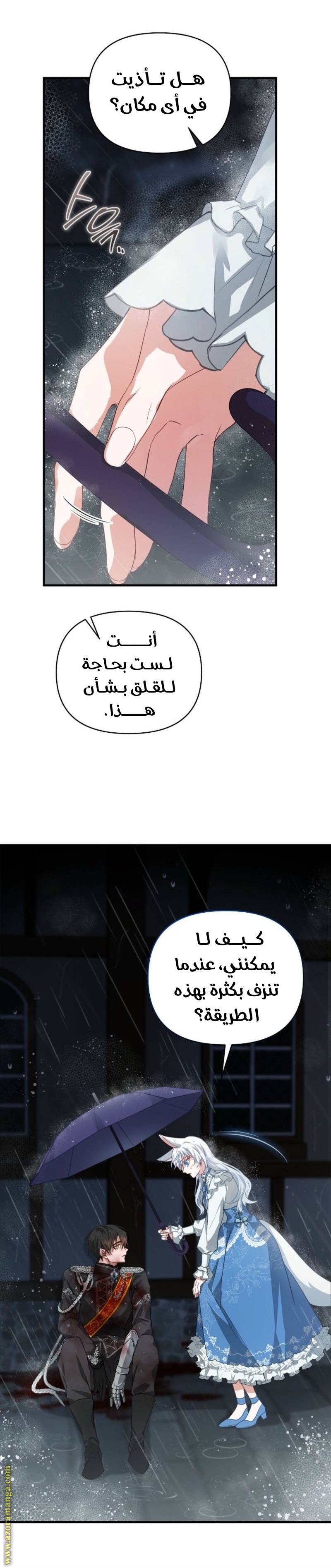 الصفحة 12