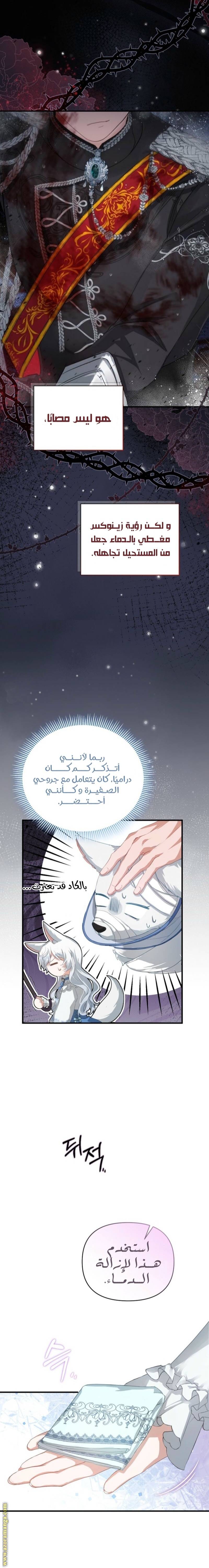 الصفحة 14