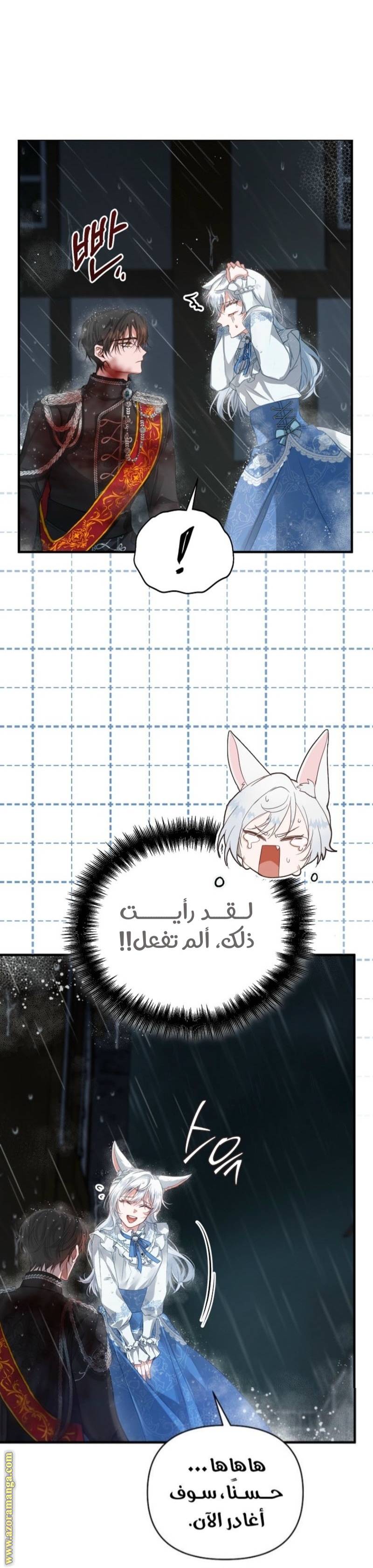 الصفحة 19