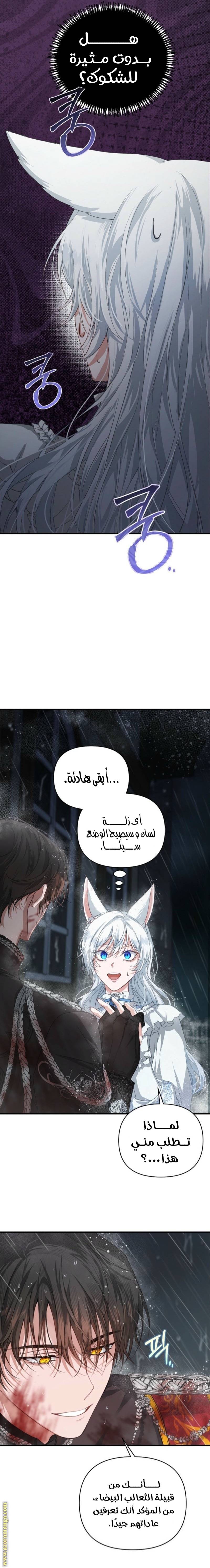 الصفحة 24