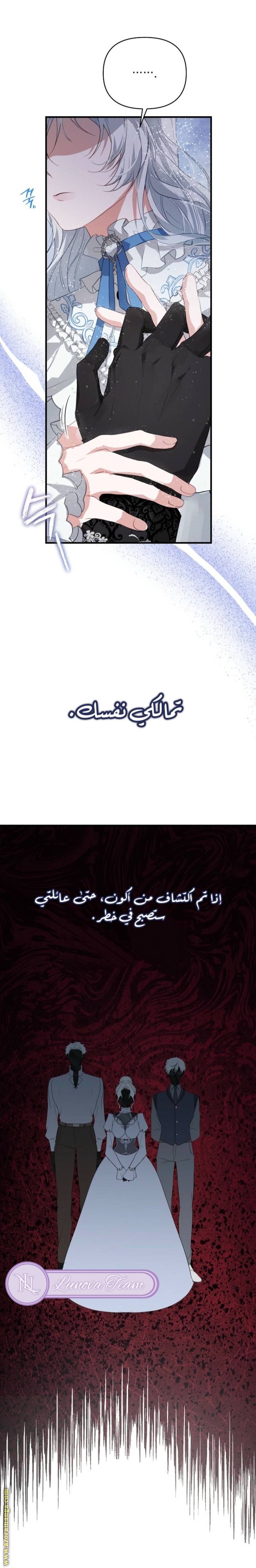 الصفحة 28