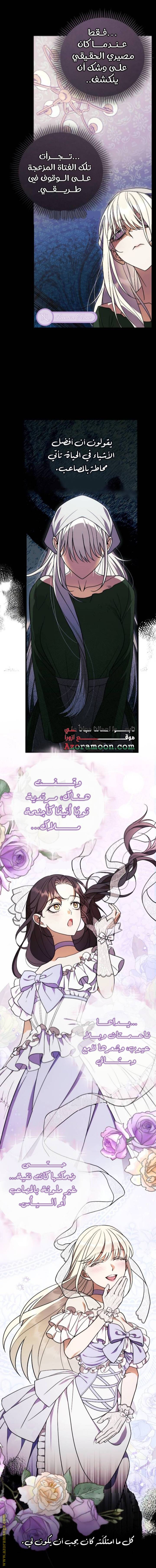 الصفحة 17