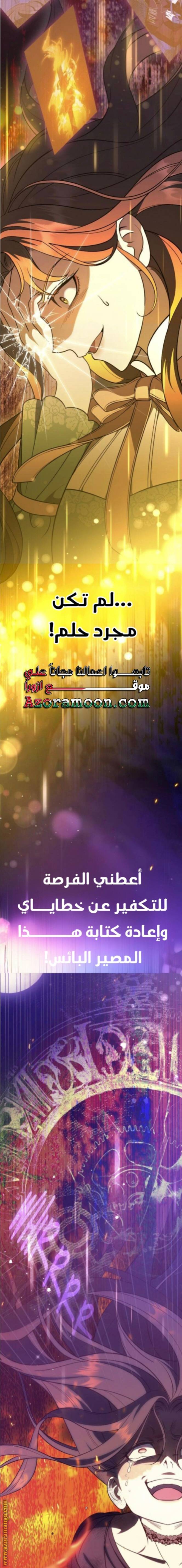 الصفحة 25