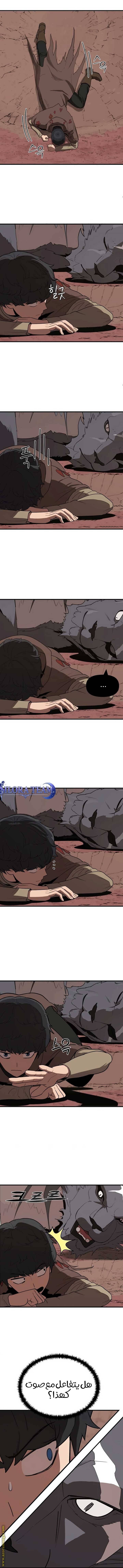 الصفحة 14