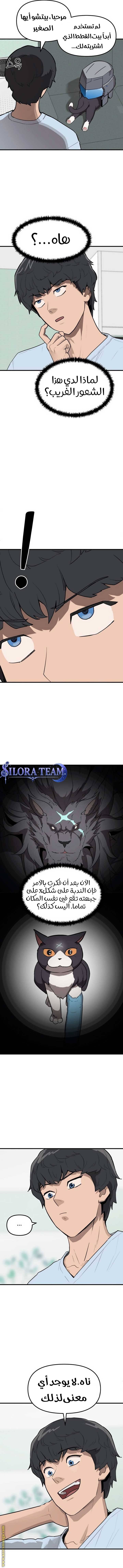الصفحة 17