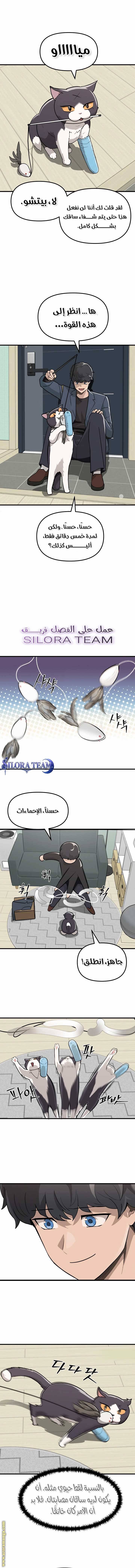 الصفحة 15