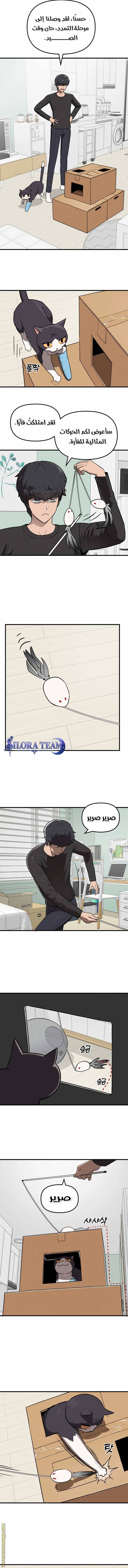 الصفحة 16