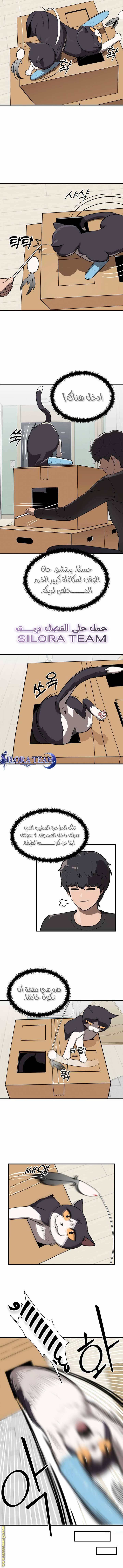 الصفحة 17