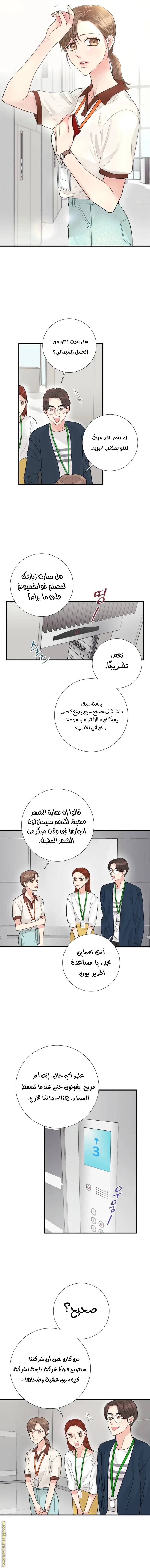 الصفحة 3
