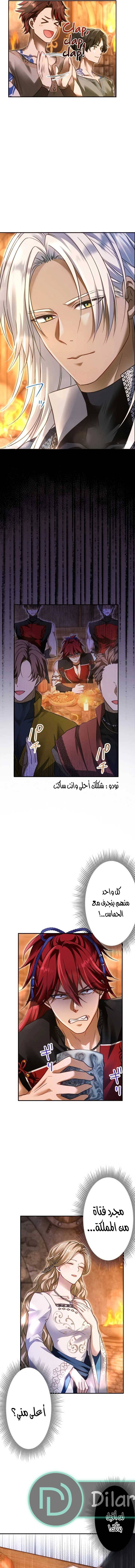 الصفحة 12