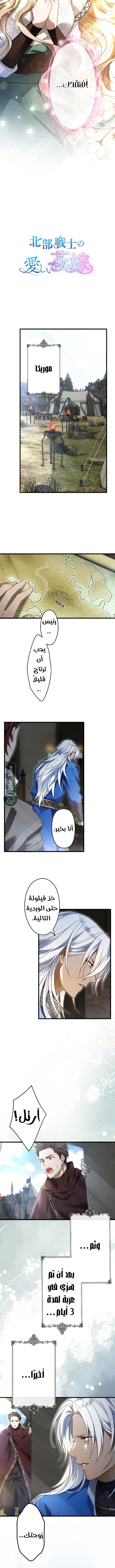 الصفحة 3