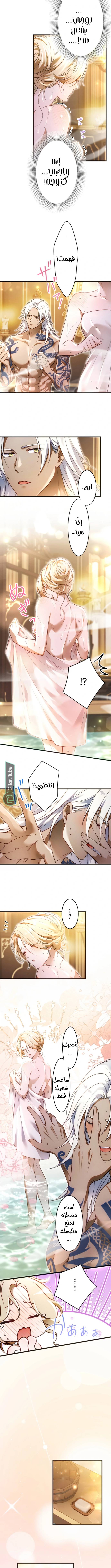 الصفحة 3