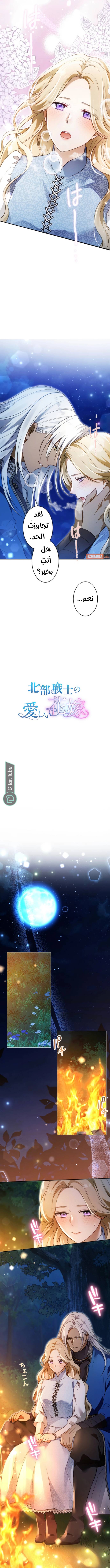 الصفحة 3