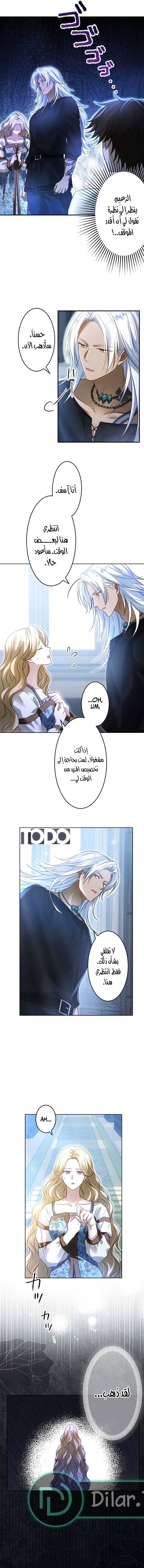 الصفحة 17