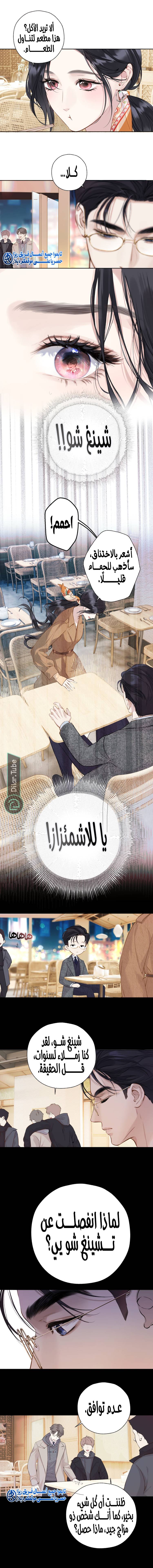 الصفحة 5