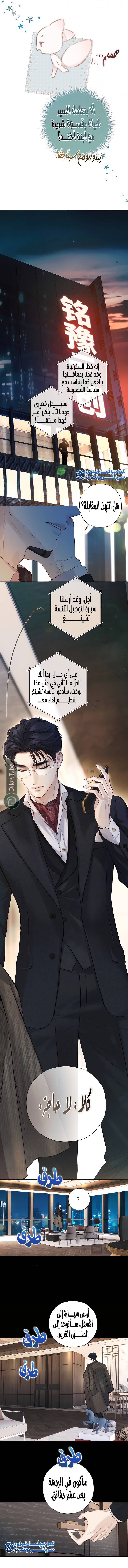 الصفحة 6