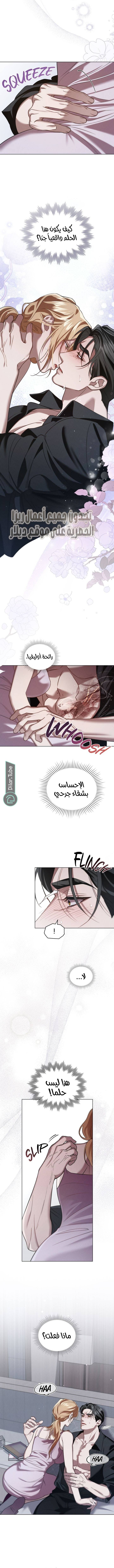 الصفحة 3