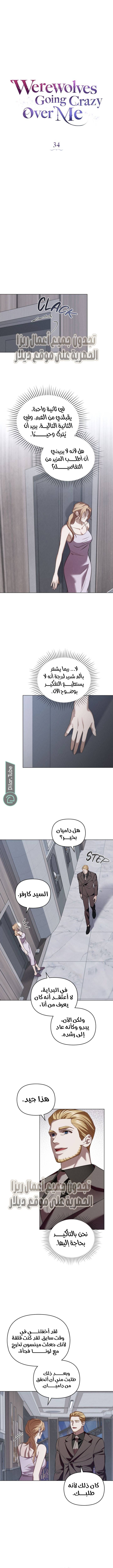 الصفحة 5