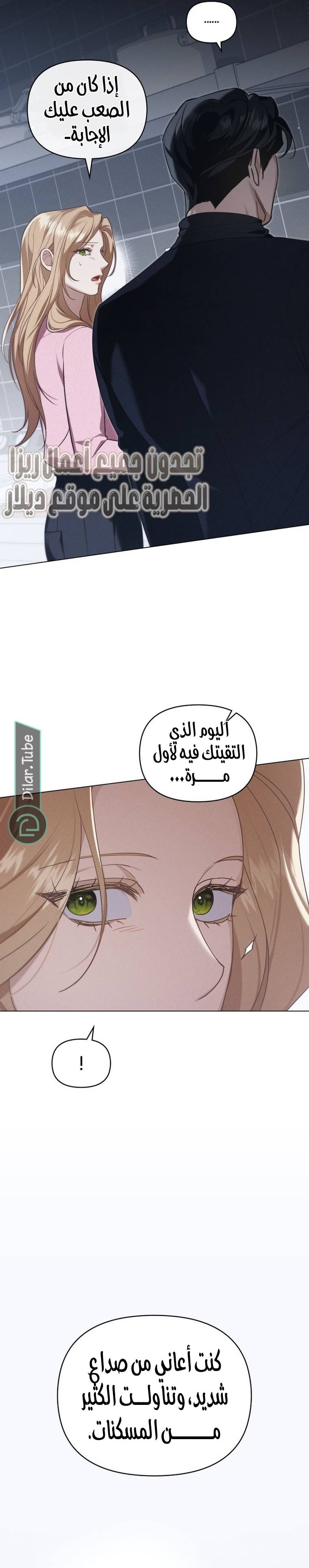 الصفحة 17