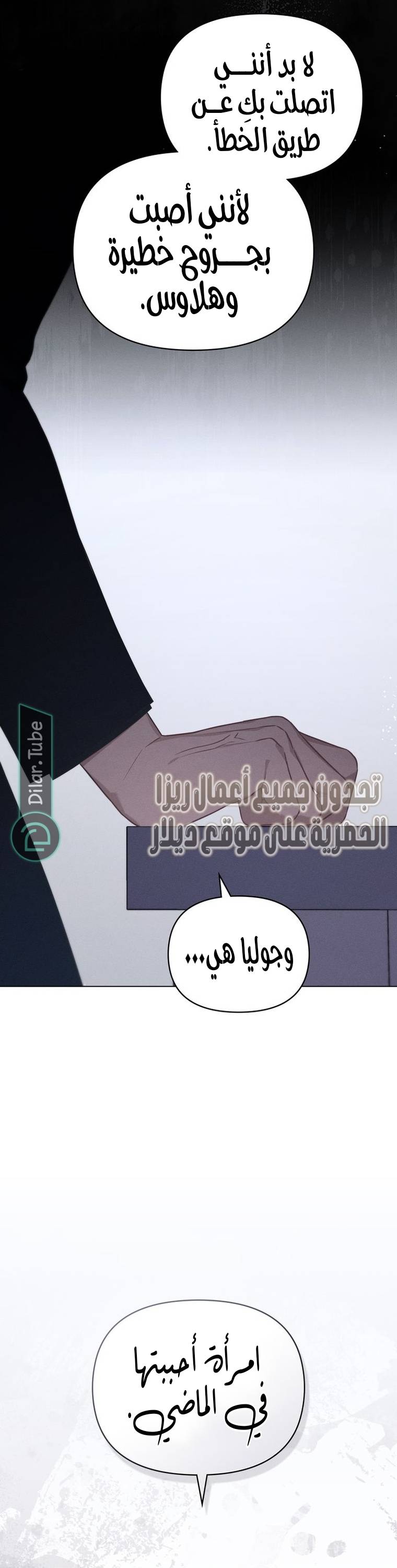 الصفحة 19