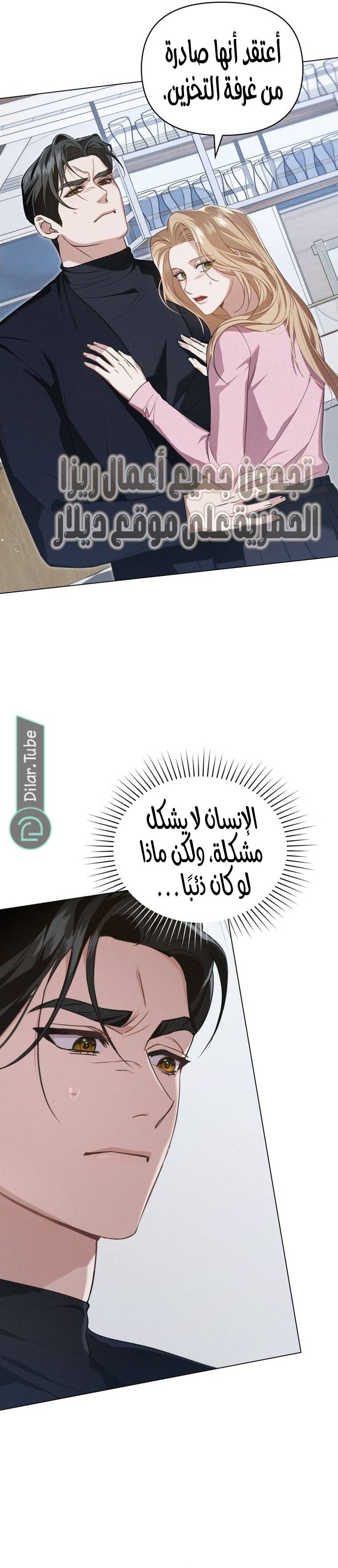 الصفحة 25