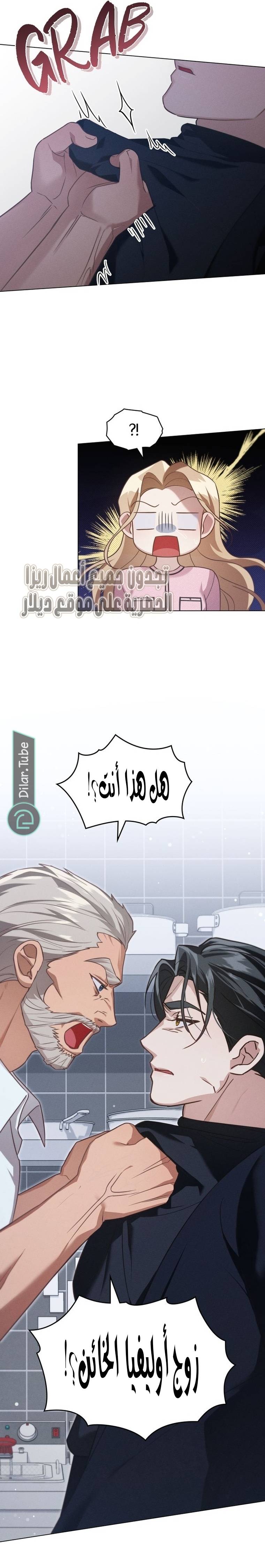 الصفحة 28