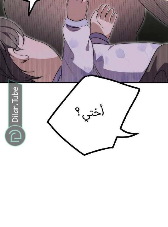 الصفحة 211