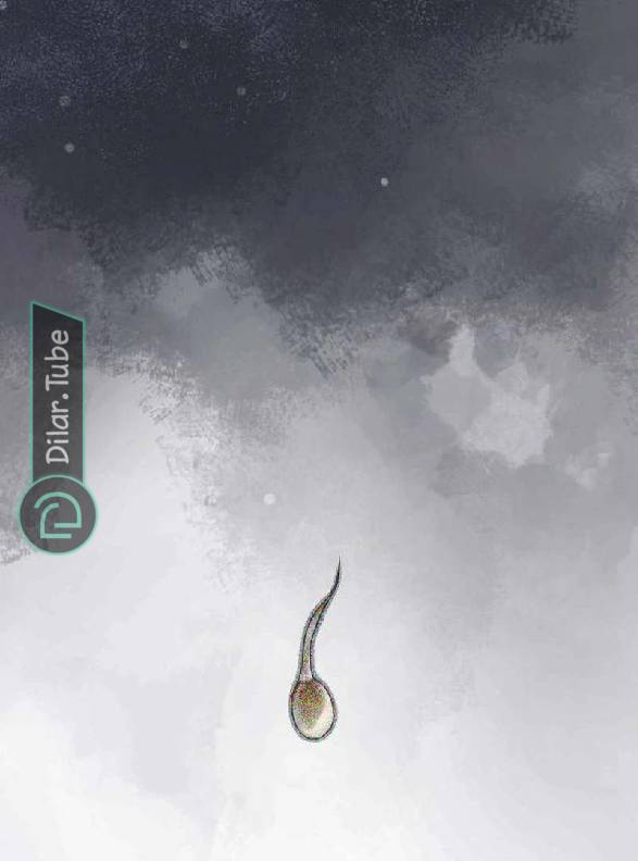 الصفحة 223