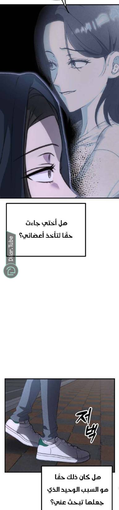 الصفحة 17