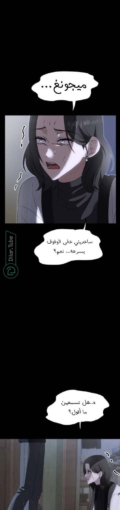 الصفحة 41