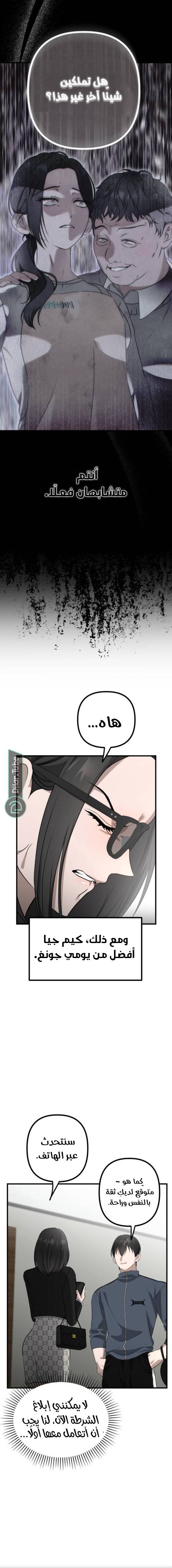 الصفحة 13