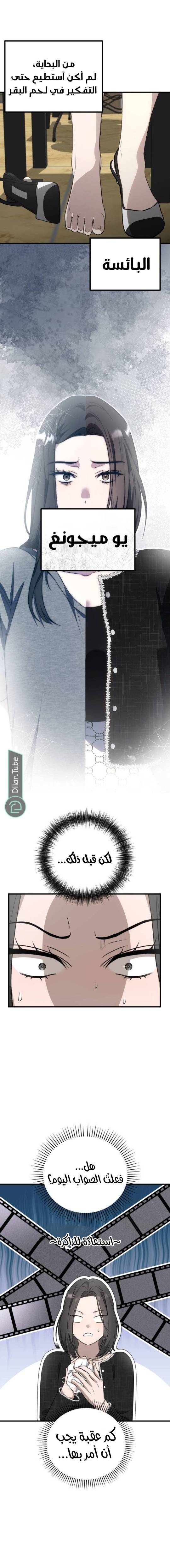 الصفحة 20