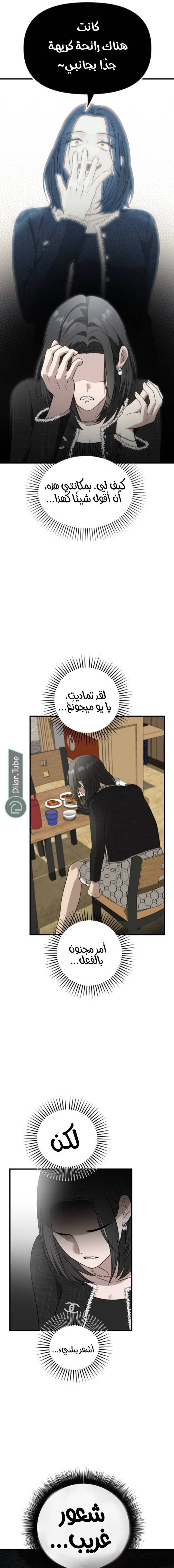 الصفحة 21