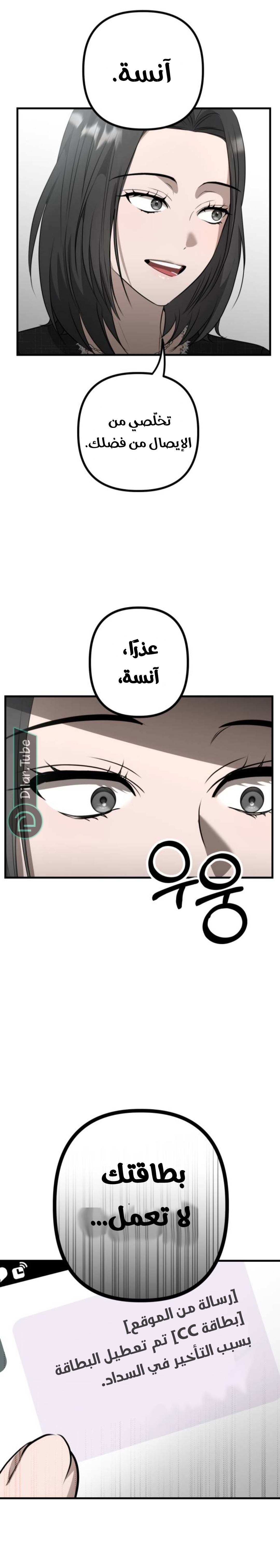 الصفحة 25