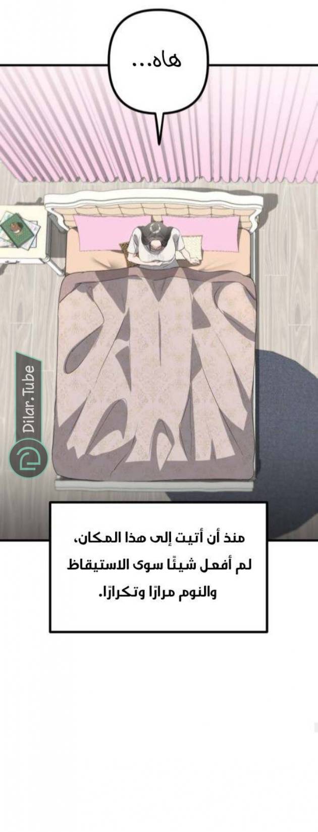 الصفحة 12